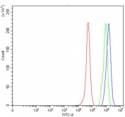 Flow cytometry testing of human RT4 cells with SERPINA10 antibody at 1ug/million cells (blocked with goat sera); Red=cells alone, Green=isotype control, Blue= SERPINA10 antibody.