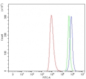 Flow cytometry testing of human HEL cells with SERPINA10 antibody at 1ug/million cells (blocked with goat sera); Red=cells alone, Green=isotype control, Blue= SERPINA10 antibody.