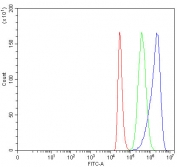 Flow cytometry testing of human ThP-1 cells with Leukocyte elastase inhibitor antibody at 1ug/million cells (blocked with goat sera); Red=cells alone, Green=isotype control, Blue= Leukocyte elastase inhibitor antibody.
