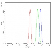 Flow cytometry testing of human SiHa cells with Leukocyte elastase inhibitor antibody at 1ug/million cells (blocked with goat sera); Red=cells alone, Green=isotype control, Blue= Leukocyte elastase inhibitor antibody.
