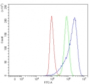 Flow cytometry testing of human A549 cells with Sideroflexin-3 antibody at 1ug/million cells (blocked with goat sera); Red=cells alone, Green=isotype control, Blue= Sideroflexin-3 antibody.