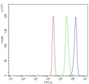 Flow cytometry testing of human U937 cells with Sideroflexin-5 antibody at 1ug/million cells (blocked with goat sera); Red=cells alone, Green=isotype control, Blue= Sideroflexin-5 antibody.