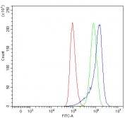 Flow cytometry testing of human A549 cells with Sideroflexin-5 antibody at 1ug/million cells (blocked with goat sera); Red=cells alone, Green=isotype control, Blue= Sideroflexin-5 antibody.