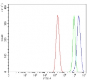 Flow cytometry testing of human Caco-2 cells with Shugoshin 2 antibody at 1ug/million cells (blocked with goat sera); Red=cells alone, Green=isotype control, Blue= Shugoshin 2 antibody.
