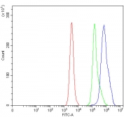 Flow cytometry testing of human Daudi cells with RNA-binding protein 22 antibody at 1ug/million cells (blocked with goat sera); Red=cells alone, Green=isotype control, Blue= RNA-binding protein 22 antibody.