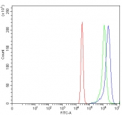 Flow cytometry testing of human K562 cells with AHCYL1 antibody at 1ug/million cells (blocked with goat sera); Red=cells alone, Green=isotype control, Blue= AHCYL1 antibody.