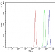 Flow cytometry testing of human HepG2 cells with RNF216 antibody at 1ug/million cells (blocked with goat sera); Red=cells alone, Green=isotype control, Blue= RNF216 antibody.