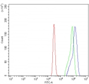Flow cytometry testing of human U937 cells with SIVA1 antibody at 1ug/million cells (blocked with goat sera); Red=cells alone, Green=isotype control, Blue= SIVA1 antibody.