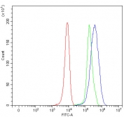 Flow cytometry testing of human 293T cells with SLC5A4 antibody at 1ug/million cells (blocked with goat sera); Red=cells alone, Green=isotype control, Blue= SLC5A4 antibody.