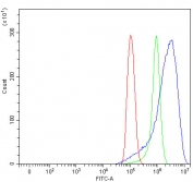 Flow cytometry testing of human PC-3 cells with NHERF-2 antibody at 1ug/million cells (blocked with goat sera); Red=cells alone, Green=isotype control, Blue= NHERF-2 antibody.