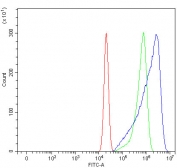 Flow cytometry testing of human U-2 OS cells with Ferroportin 1 antibody at 1ug/million cells (blocked with goat sera); Red=cells alone, Green=isotype control, Blue= Ferroportin 1 antibody.