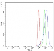 Flow cytometry testing of human PC-3 cells with TRMT61A antibody at 1ug/million cells (blocked with goat sera); Red=cells alone, Green=isotype control, Blue= TRMT61A antibody.