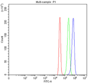 Flow cytometry testing of fixed and permeabilized human SiHa cells with TULP3 antibody at 1ug/million cells (blocked with goat sera); Red=cells alone, Green=isotype control, Blue= TULP3 antibody.