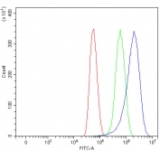 Flow cytometry testing of human U-87 MG cells with CD105 antibody at 1ug/million cells (blocked with goat sera); Red=cells alone, Green=isotype control, Blue= CD105 antibody.