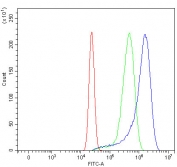 Flow cytometry testing of human U-2 OS cells with Fibroblast growth factor receptor 2 antibody at 1ug/million cells (blocked with goat sera); Red=cells alone, Green=isotype control, Blue= Fibroblast growth factor receptor 2 antibody.