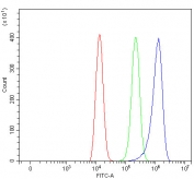 Flow cytometry testing of human HEL cells with SIGLEC12 antibody at 1ug/million cells (blocked with goat sera); Red=cells alone, Green=isotype control, Blue= SIGLEC12 antibody.