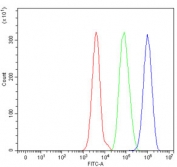 Flow cytometry testing of human HepG2 cells with CAT2 antibody at 1ug/million cells (blocked with goat sera); Red=cells alone, Green=isotype control, Blue= CAT2 antibody.