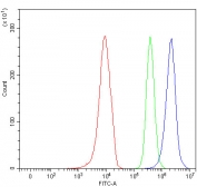 Flow cytometry testing of human 293T cells with SLC17A4 antibody at 1ug/million cells (blocked with goat sera); Red=cells alone, Green=isotype control, Blue= SLC17A4 antibody.