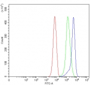 Flow cytometry testing of human K562 cells with SLMAP antibody at 1ug/million cells (blocked with goat sera); Red=cells alone, Green=isotype control, Blue= SLMAP antibody.