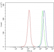 Flow cytometry testing of human JK-1 cells with Citrin antibody at 1ug/million cells (blocked with goat sera); Red=cells alone, Green=isotype control, Blue= Citrin antibody.