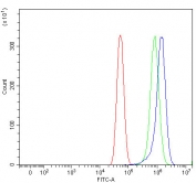 Flow cytometry testing of human U-87 MG cells with Citrin antibody at 1ug/million cells (blocked with goat sera); Red=cells alone, Green=isotype control, Blue= Citrin antibody.