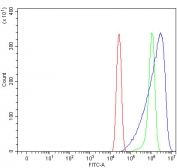 Flow cytometry testing of human A431 cells with Rho kinase 2 antibody at 1ug/million cells (blocked with goat sera); Red=cells alone, Green=isotype control, Blue= Rho kinase 2 antibody.