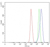 Flow cytometry testing of human PC-3 cells with SLC35E4 antibody at 1ug/million cells (blocked with goat sera); Red=cells alone, Green=isotype control, Blue= SLC35E4 antibody.