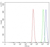 Flow cytometry testing of human ThP-1 cells with SNF2L2 antibody at 1ug/million cells (blocked with goat sera); Red=cells alone, Green=isotype control, Blue= SNF2L2 antibody.