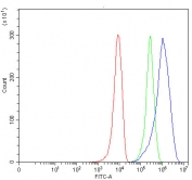 Flow cytometry testing of human 293T cells with SMC2 antibody at 1ug/million cells (blocked with goat sera); Red=cells alone, Green=isotype control, Blue= SMC2 antibody.