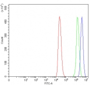 Flow cytometry testing of human THP-1 cells with SMC5 antibody at 1ug/million cells (blocked with goat sera); Red=cells alone, Green=isotype control, Blue= SMC5 antibody.