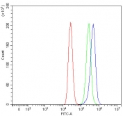 Flow cytometry testing of human MCF7 cells with PAO-1 antibody at 1ug/million cells (blocked with goat sera); Red=cells alone, Green=isotype control, Blue= PAO-1 antibody.