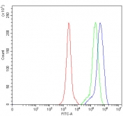 Flow cytometry testing of human HL-60 cells with PAO-1 antibody at 1ug/million cells (blocked with goat sera); Red=cells alone, Green=isotype control, Blue= PAO-1 antibody.