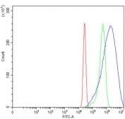 Flow cytometry testing of human A431 cells with Spermine synthase antibody at 1ug/million cells (blocked with goat sera); Red=cells alone, Green=isotype control, Blue= Spermine synthase antibody.