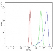 Flow cytometry testing of human U-2 OS cells with Sorting Nexin 5 antibody at 1ug/million cells (blocked with goat sera); Red=cells alone, Green=isotype control, Blue= Sorting Nexin 5 antibody.