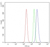 Flow cytometry testing of fixed and permeabilized human RT4 cells with Crk-like protein antibody at 1ug/million cells (blocked with goat sera); Red=cells alone, Green=isotype control, Blue= Crk-like protein antibody.