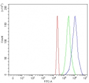 Flow cytometry testing of human U937 cells with CBLIF antibody at 1ug/million cells (blocked with goat sera); Red=cells alone, Green=isotype control, Blue= CBLIF antibody.