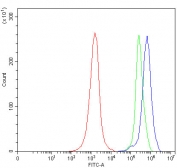 Flow cytometry testing of human JK cells with Sm-D2 antibody at 1ug/million cells (blocked with goat sera); Red=cells alone, Green=isotype control, Blue= Sm-D2 antibody.