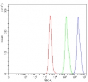 Flow cytometry testing of human Daudi cells with OTT3 antibody at 1ug/million cells (blocked with goat sera); Red=cells alone, Green=isotype control, Blue= OTT3 antibody.