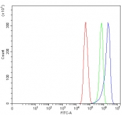 Flow cytometry testing of human U-251 cells with Sorting nexin 31 antibody at 1ug/million cells (blocked with goat sera); Red=cells alone, Green=isotype control, Blue= Sorting nexin 31 antibody.