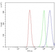 Flow cytometry testing of human ThP-1 cells with Thrombomodulin antibody at 1ug/million cells (blocked with goat sera); Red=cells alone, Green=isotype control, Blue= Thrombomodulin antibody.