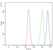 Flow cytometry testing of human ThP-1 cells with WRS antibody at 1ug/million cells (blocked with goat sera); Red=cells alone, Green=isotype control, Blue= WRS antibody.