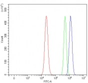 Flow cytometry testing of human RT4 cells with Regulatory factor X 3 antibody at 1ug/million cells (blocked with goat sera); Red=cells alone, Green=isotype control, Blue= Regulatory factor X 3 antibody.