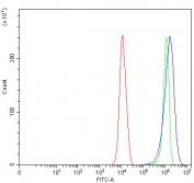 Flow cytometry testing of human PC-3 cells with RAI14 antibody at 1ug/million cells (blocked with goat sera); Red=cells alone, Green=isotype control, Blue= RAI14 antibody.