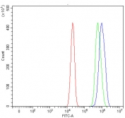 Flow cytometry testing of human U-2 OS cells with RAI14 antibody at 1ug/million cells (blocked with goat sera); Red=cells alone, Green=isotype control, Blue= RAI14 antibody.