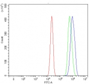 Flow cytometry testing of human U-2 OS cells with RAI14 antibody at 1ug/million cells (blocked with goat sera); Red=cells alone, Green=isotype control, Blue= RAI14 antibody.