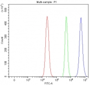 Flow cytometry testing of human RT4 cells with P15RS antibody at 1ug/million cells (blocked with goat sera); Red=cells alone, Green=isotype control, Blue= P15RS antibody.