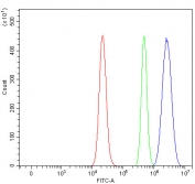Flow cytometry testing of human RT4 cells with EZH1 antibody at 1ug/million cells (blocked with goat sera); Red=cells alone, Green=isotype control, Blue= EZH1 antibody.