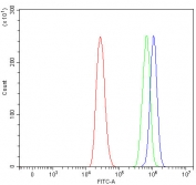 Flow cytometry testing of human A431 cells with SNRNP200 antibody at 1ug/million cells (blocked with goat sera); Red=cells alone, Green=isotype control, Blue= SNRNP200 antibody.
