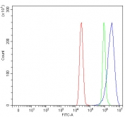 Flow cytometry testing of human MCF7 cells with RAP1GAP antibody at 1ug/million cells (blocked with goat sera); Red=cells alone, Green=isotype control, Blue= RAP1GAP antibody.