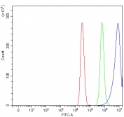Flow cytometry testing of human MCF7 cells with IRBP antibody at 1ug/million cells (blocked with goat sera); Red=cells alone, Green=isotype control, Blue= IRBP antibody.